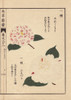 White And Pink Camellias  Watashi Mori Andà Poster Print By ® Florilegius / Mary Evans - Item # VARMEL10938597