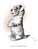 Sealyham Terrier Sitting Up And Begging Poster Print By Mary Evans Picture Library - Item # VARMEL10957384