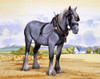 A Working Heavy Horse Poster Print By Malcolm Greensmith ® Adrian Bradbury/Mary Evans - Item # VARMEL10271149