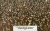 Crowds At Dreamland  Coney Island  New York  Usa Poster Print By Mary Evans / Grenville Collins Postcard Collection - Item # VARMEL10982315