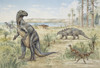 Lower Cretaceous Dinosaurs Discovered In England Poster Print By Mary Evans / Natural History Museum - Item # VARMEL10703950