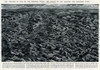 Theatre Of War On Western Front By G. H. Davis Poster Print By ® Illustrated London News Ltd/Mary Evans - Item # VARMEL10652282
