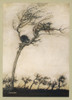 Milton/Comus By Rackham Poster Print By Mary Evans Picture Library/Arthur Rackham - Item # VARMEL10173304