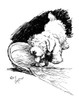 Illustration Of A Sealyham Terrier Puppy By Cecil Aldin Poster Print By Mary Evans Picture Library - Item # VARMEL10957473