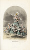 Oxeye Daisy Flower Fairies Wearing Flower Hatsà Poster Print By ® Florilegius / Mary Evans - Item # VARMEL10937443