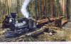 Lumber Camp Scene - Train - British Columbia  Canada Poster Print By Mary Evans / Grenville Collins Postcard Collection - Item # VARMEL11053072