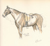 Kilrue  Horse Belonging To Lord Lonsdale Poster Print By Mary Evans Picture Library - Item # VARMEL10956571