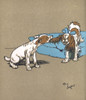 Illustration By Cecil Aldin  Puppy Tails Poster Print By Mary Evans Picture Library - Item # VARMEL10981419