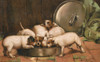 Puppies Eating From A Large Bowl Poster Print By Mary Evans Picture Library - Item # VARMEL10956708