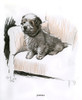 Sealyham Terrier Sitting In An Armchair Poster Print By Mary Evans Picture Library - Item # VARMEL10957344