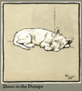 Rags The Puppy Skulking In A Corner Poster Print By Mary Evans Picture Library - Item # VARMEL10644894
