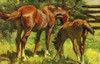 Horse & Foal Poster Print By Mary Evans Picture Library/Peter & Dawn Cope Collection - Item # VARMEL10981969