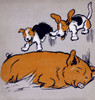 Illustration By Cecil Aldin  The Farmyard Puppies Poster Print By Mary Evans Picture Library - Item # VARMEL10981102