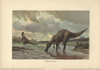 Hadrosaurs Or Duck-Billed Dinosaurs Of Theà Poster Print By ® Florilegius / Mary Evans - Item # VARMEL10937685