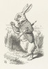 The White Rabbit From Alice In Wonderland Poster Print By Mary Evans Picture Library - Item # VARMEL10021929
