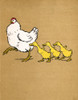 Illustration By Cecil Aldin  Ugly Duckling Poster Print By Mary Evans Picture Library - Item # VARMEL10956829