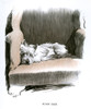 White Scots Terrier Lying In An Armchair Poster Print By Mary Evans Picture Library - Item # VARMEL10957380