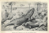 Reptiles And Amphibian Of The Triassic Poster Print By ® Florilegius / Mary Evans - Item # VARMEL10936643