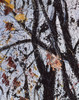 Autumnal Trees Poster Print By Malcolm Greensmith ® Adrian Bradbury/Mary Evans - Item # VARMEL10267753