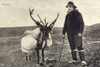 Man From Newfoundland And Labrador With Reindeer Poster Print By Mary Evans / Grenville Collins Postcard Collection - Item # VARMEL10428683