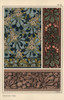 Chestnut Tree In Art Nouveau Patterns Poster Print By ® Florilegius / Mary Evans - Item # VARMEL10937539