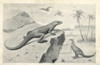 Hypsilophodon Foxii Dinosaurs And Flying Pterodactyls Poster Print By ® Florilegius / Mary Evans - Item # VARMEL10936605