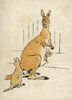 Kangaroos Aldin 1907 Poster Print By Mary Evans Picture Library - Item # VARMEL10225916