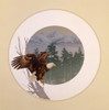 Bald Eagle Poster Print By Malcolm Greensmith ® Adrian Bradbury/Mary Evans - Item # VARMEL10271240