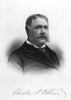 Chester Alan Arthur  President Of The United States Poster Print By Mary Evans Picture Library - Item # VARMEL10005439