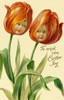 Tulip Flower Faces Poster Print By Mary Evans Picture Library / Peter & Dawn Cope Collection - Item # VARMEL10694222