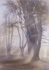 Light Through The Trees Poster Print By Malcolm Greensmith ® Adrian Bradbury/Mary Evans - Item # VARMEL10267229
