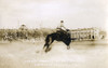 Y Canutt On Walter Rose During The Calgary Stampede Poster Print By Mary Evans / Grenville Collins Postcard Collection - Item # VARMEL10948752