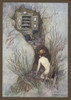 Water Babies/Tom/Cabinet Poster Print By Mary Evans Picture Library - Item # VARMEL10017051