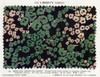 Liberty Print Fabric Poster Print By Mary Evans / Peter & Dawn Cope Collection - Item # VARMEL10573261