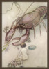 Water Babies/Tom/Lobster Poster Print By Mary Evans Picture Library - Item # VARMEL10017974