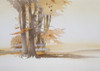 Morning Light Through An Autumnal Wood Poster Print By Malcolm Greensmith ® Adrian Bradbury/Mary Evans - Item # VARMEL10267383