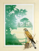 Kestrel And English Countryside Scenery Poster Print By Malcolm Greensmith ® Adrian Bradbury/Mary Evans - Item # VARMEL10271295