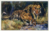 Indian Tiger Poster Print By Mary Evans Picture Library/Peter & Dawn Cope Collection - Item # VARMEL10981977