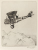 L.V.G. C.V. Biplane Poster Print By Mary Evans Picture Library - Item # VARMEL10115736