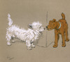 Illustration By Cecil Aldin  Mac Poster Print By Mary Evans Picture Library - Item # VARMEL10980933