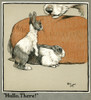 Humpty And Dumpty The Rabbits Meet A Dog Poster Print By Mary Evans Picture Library - Item # VARMEL10644911