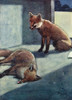 Illustration  White-Ear Discovers A Dead Fox Poster Print By Mary Evans Picture Library - Item # VARMEL10956747