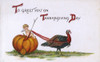 Thanksgiving Card - Usa - Turkey Pulls A Pumpkin Wagon Poster Print By Mary Evans / Grenville Collins Postcard Collection - Item # VARMEL10587815