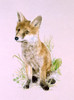 A Young Fox Poster Print By Malcolm Greensmith ® Adrian Bradbury/Mary Evans - Item # VARMEL10271160