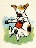 Illustration By Cecil Aldin  Stories From Puppyland Poster Print By Mary Evans Picture Library - Item # VARMEL10982196