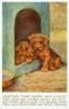 Puppies In A Kennel Poster Print By Mary Evans Picture Library/Peter & Dawn Cope Collection - Item # VARMEL10981986