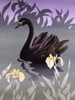 Black Swan Poster Print By Malcolm Greensmith ® Adrian Bradbury/Mary Evans - Item # VARMEL10271212