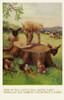 Lambs & Rabbits Poster Print By Mary Evans Picture Library/Peter & Dawn Cope Collection - Item # VARMEL10981938
