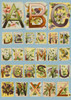 Illustrated Alphabet A-Z Poster Print By ® Mary Evans Picture Library - Item # VARMEL11094594