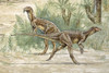 Hypsilophodon Poster Print By Mary Evans / Natural History Museum - Item # VARMEL10715037